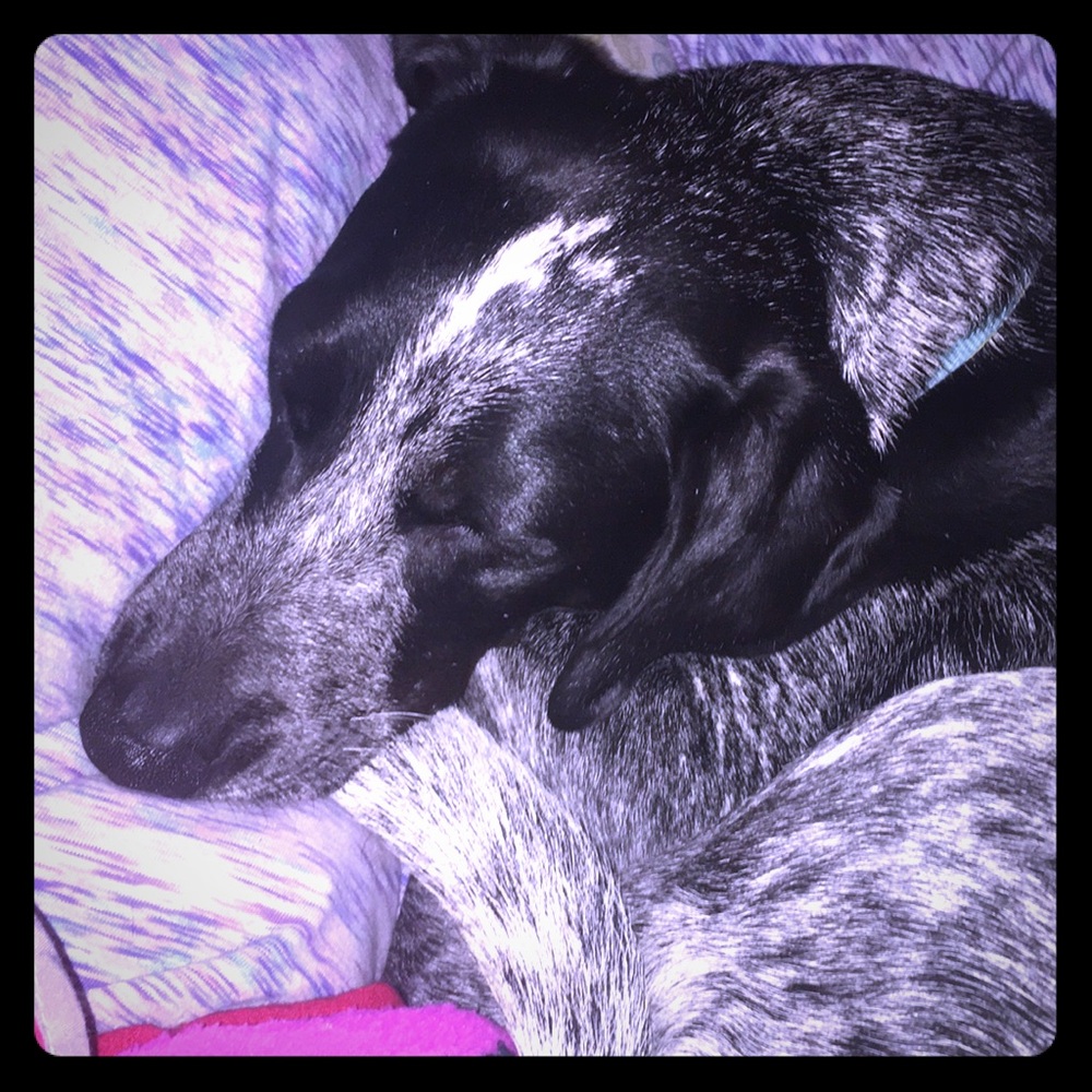 Meet your Posher, Mary